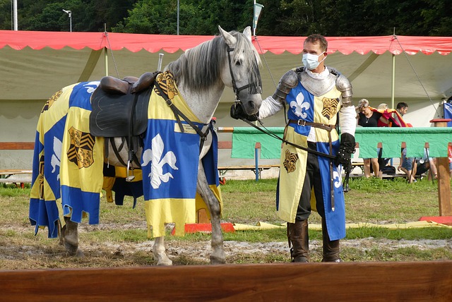 混团世界杯：日本队全场被中国观众针对，张本智和的表情亮了！