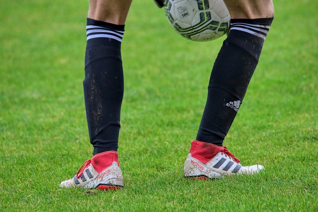 此前的比赛 此前的比赛