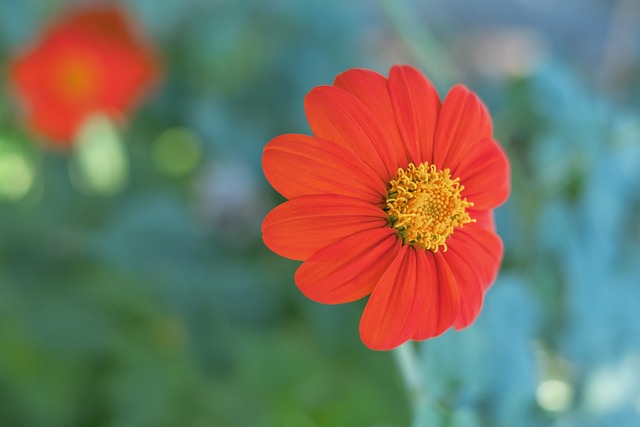 和顽强的竞 和顽强的竞