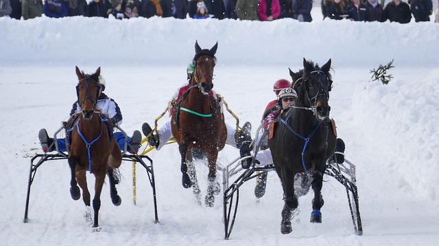 着令人惊艳 着令人惊艳