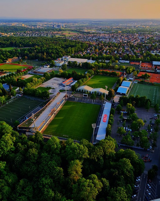 将继续引领 将继续引领