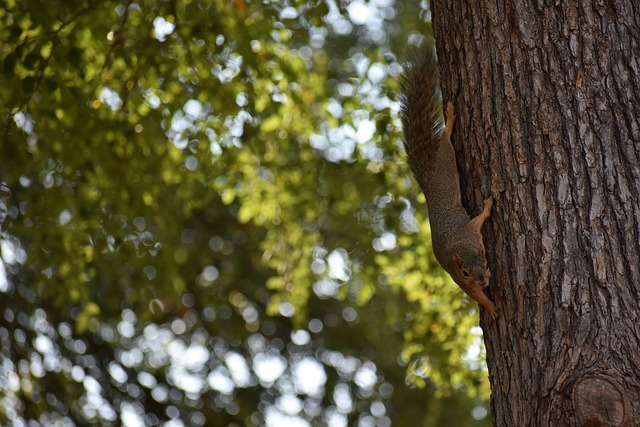 看到更清晰 看到更清晰